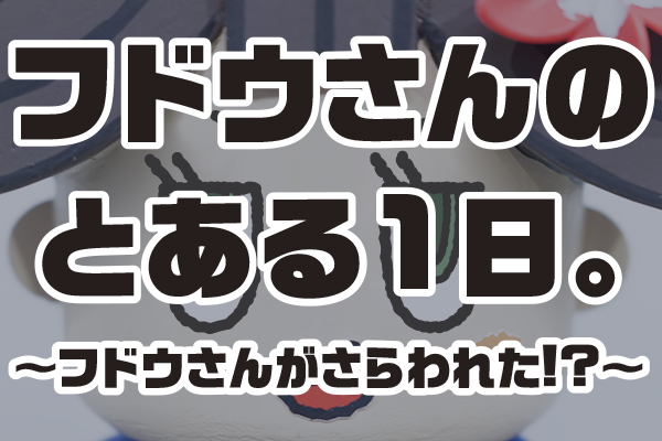 フドウさんのとある１日。